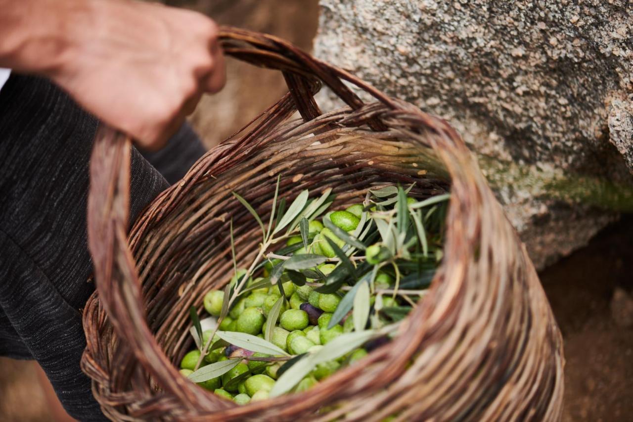 מלון ארזח'ינה Cascioni Eco Retreat מראה חיצוני תמונה