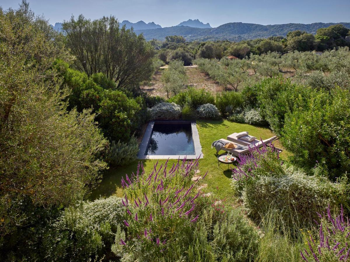 מלון ארזח'ינה Cascioni Eco Retreat מראה חיצוני תמונה