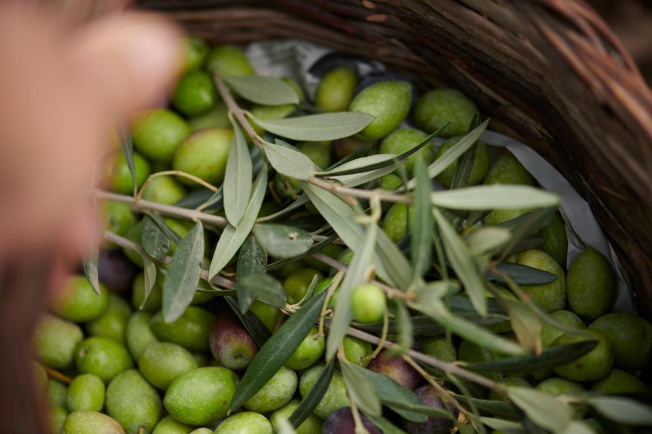 מלון ארזח'ינה Cascioni Eco Retreat מראה חיצוני תמונה